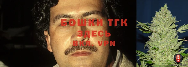 прущие крисы Строитель