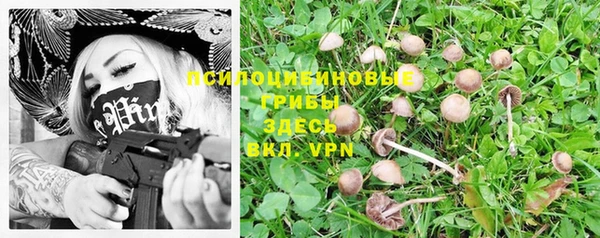 прущие крисы Строитель